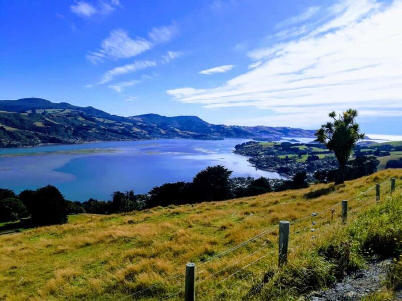 Dunedin: Peninsula with Lanarch Castle gardens & Olveston - FAQs