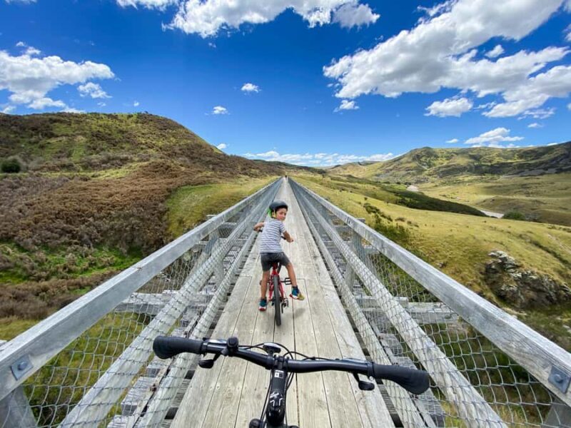 Dunedin: Scenic Railway Tour Through the Taieri Gorge - Who Should Consider This Tour?