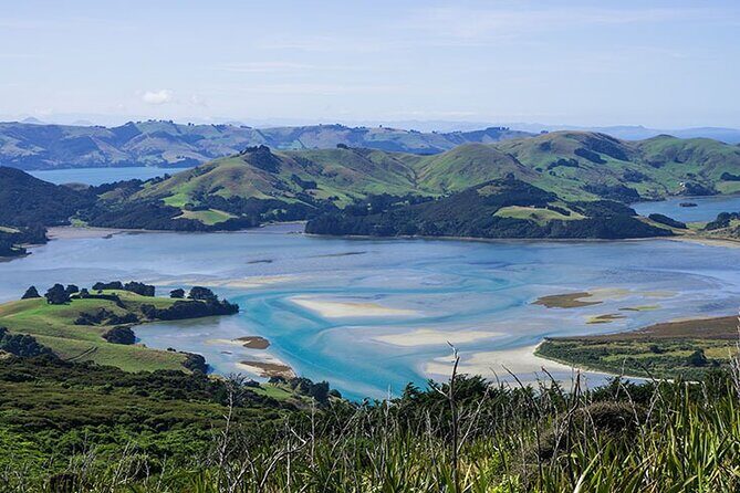 Dunedin Shore Excursion City Sightseeing & Tour of Larnach Castle - Who Would Love This Tour?