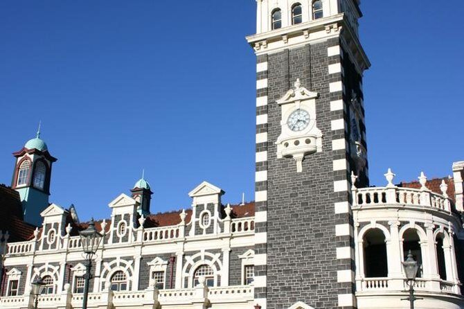 Dunedin Shore Excursion: Small-Group Tour of Dunedin and the Otago Peninsula - The Transportation Experience