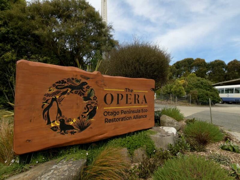 Dunedin: Wildlife and Penguin Tour - Value for Money: Is the Tour Worth It?