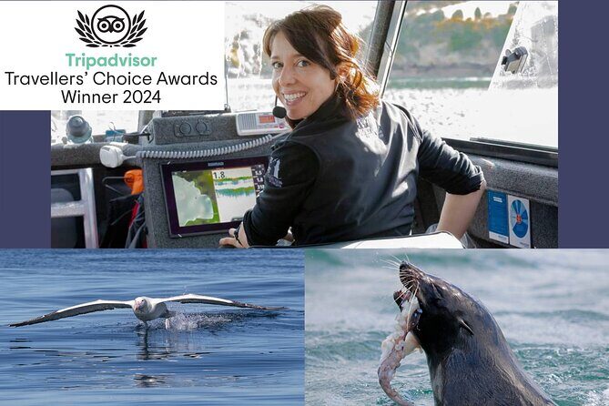 Dunedin Wildlife Cruise-Albatross, seals and harbour - What to Expect from the Otago Wildlife Cruise