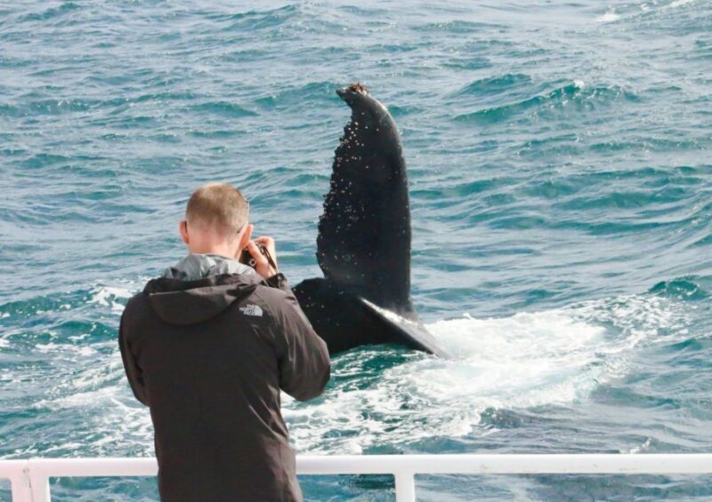 Dunsborough: Whale Watching Tour - Who Should Consider This Tour?