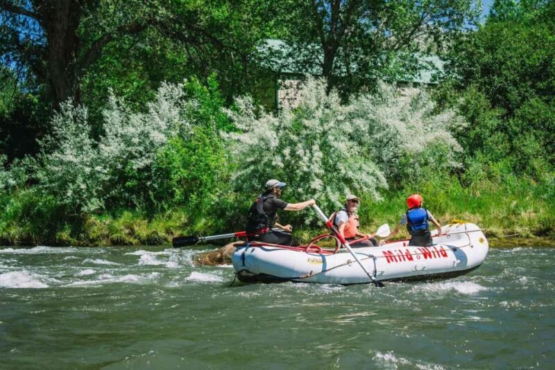 Durango 1/4 Day Rafting Trip - Lower Animas River - An Overview of the Experience