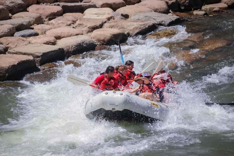 Durango 3/4 Day Rafting Trip with Lunch - Lower Animas River - The Experience from the Travelers Perspective