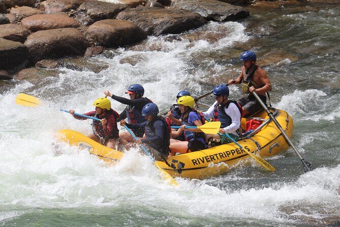 Durango "4.5 Half-Day" Rafting Trip Down the Animas River - An Overview of the Experience