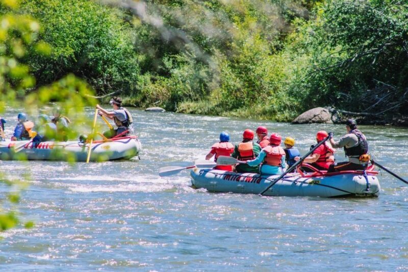 Durango Half Day Rafting Trip - Lower Animas River - Who Should Consider This Tour?