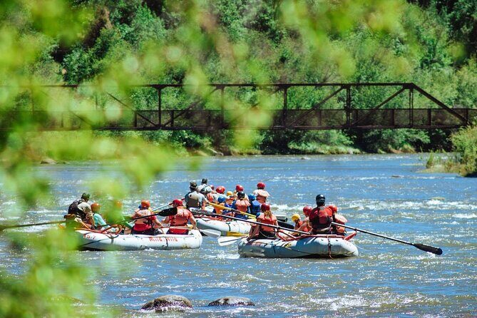Durango Half Day Rafting Trip - Lower Animas River - Practical Details