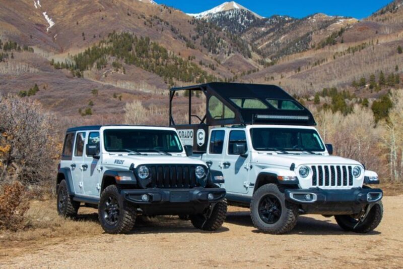 Durango: Waterfalls and Mountains La Plata Canyon Jeep Tour - The Experience’s Pros and Cons