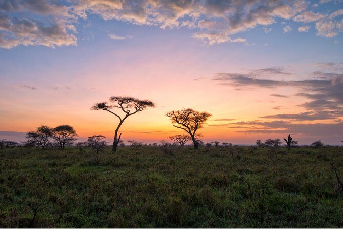 Durban: Big 5 Luxury Safari at an Award Winning Game Reserve  Zeiss Binoculars - The Sum Up