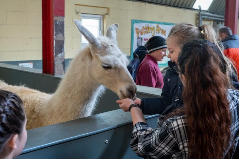 Durham: Adventure Valley Mini Golf Admission Ticket - Why This Experience Might Be Perfect for You