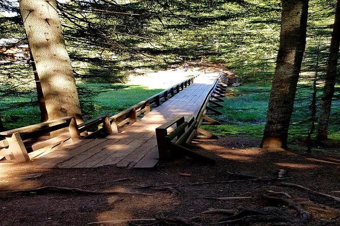 Durmitor National Park hiking tour - easy to moderate - Exploring Durmitor’s Lakes: A Walk Through Montenegro’s Natural Gems