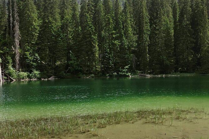 Durmitor National Park hiking tour - easy to moderate - Is It Worth the Price?