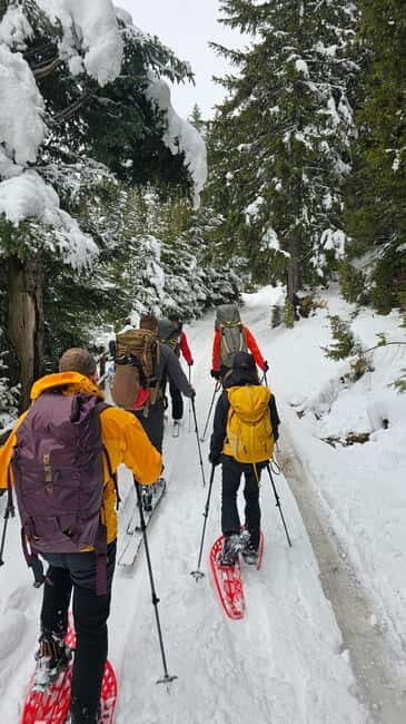 Durmitor National Park: Snowshoeing Hike to Base Camp - Key Points
