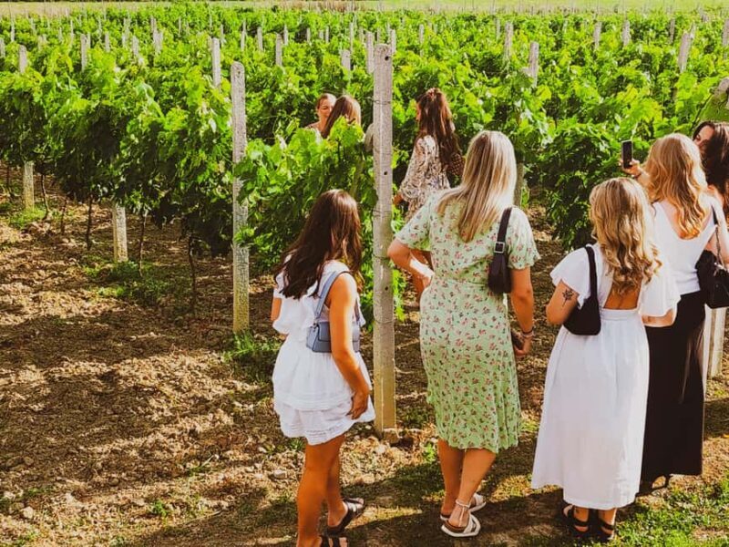 Durres Countryside Vineyards Wine Tasting & Food Pairing - Key Points