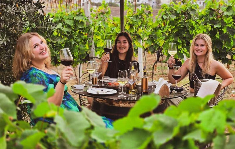 Durres Countryside Vineyards Wine Tasting & Food Pairing - What Do Travelers Say?