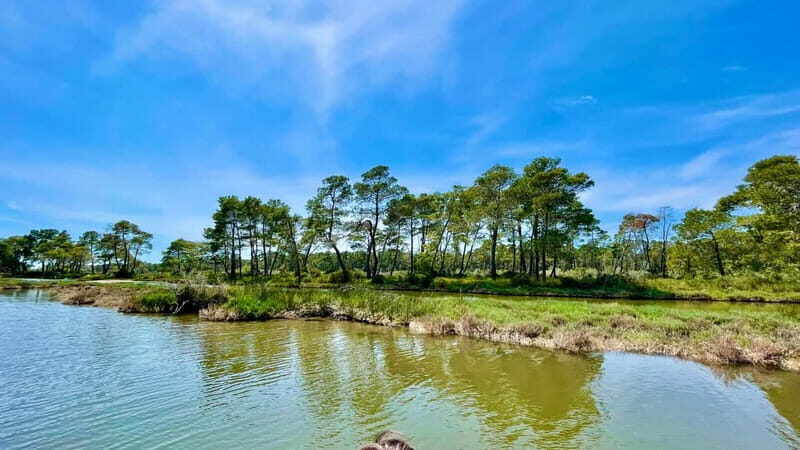 Durres & Karavasta National Park Tour on Luxury Land Rover - Final Thoughts