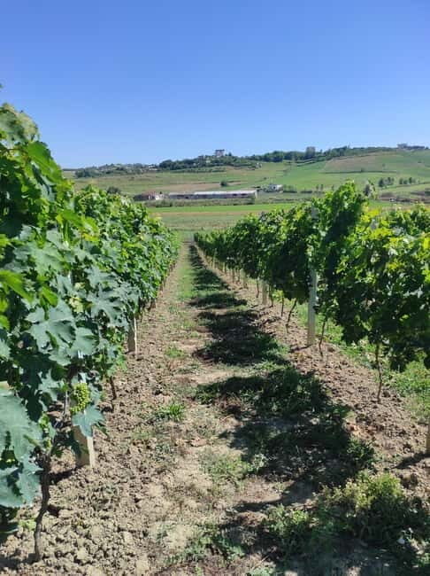 Durres: Where History Meets Wine - Final Thoughts: Is It Worth It?