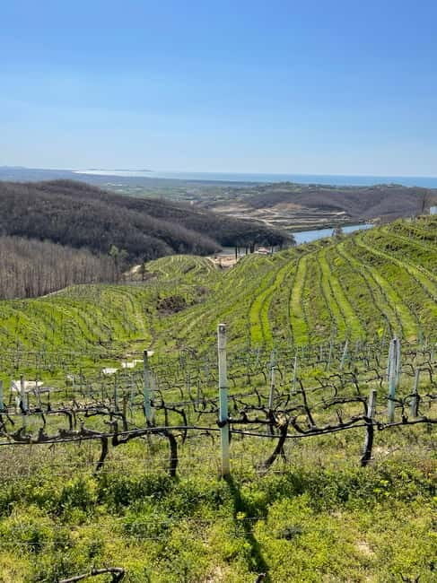 Durres & Wine Tasting Tour - Authentic Experiences Gleaned from Reviews