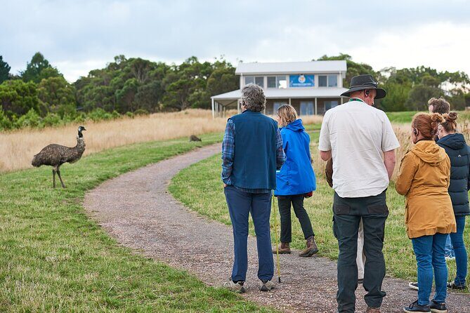 Dusk Discovery Tour - What to Expect from the Dusk Discovery Tour