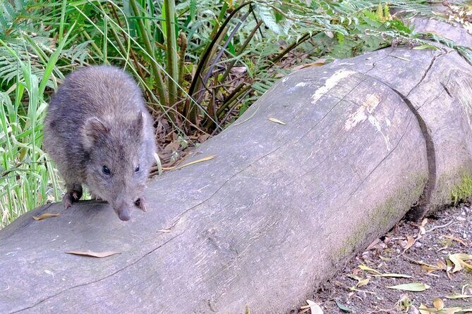 Dusk Discovery Tour - Final Thoughts