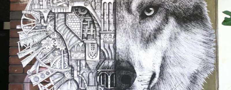 Düsseldorf: Urban Art Walk / Street Art Tour (in German) - Key Points