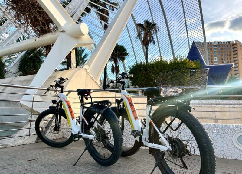 Dutch-Style Bike Tour in Valencia - Authentic Feedback from Travelers