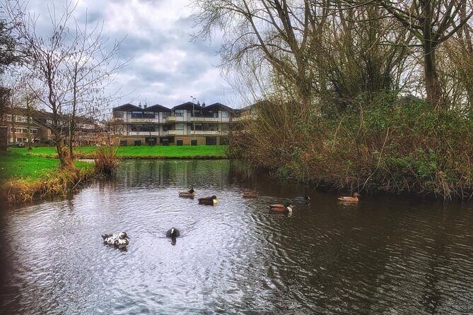 Dutch Windmills & Polder Walking Tour - Who Should Consider the Dutch Windmills & Polder Walking Tour?
