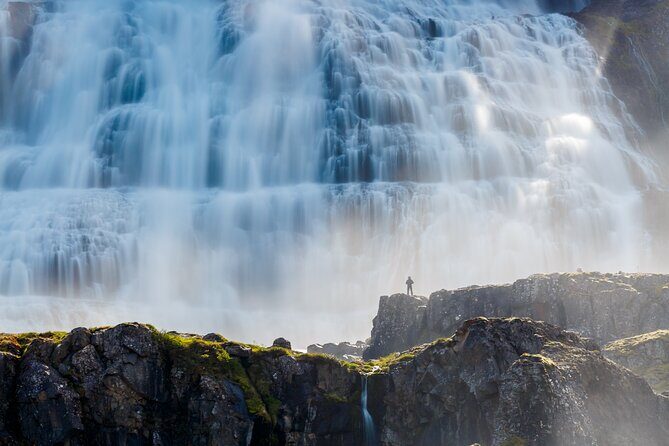 Dynjandi Waterfall & Iceland Farm Visit Tour - The Itinerary in Detail: What to Expect