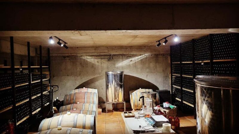 Dzegvi/Tbilisi: Winery Tour with Wine Tasting and Lunch - Final Thoughts