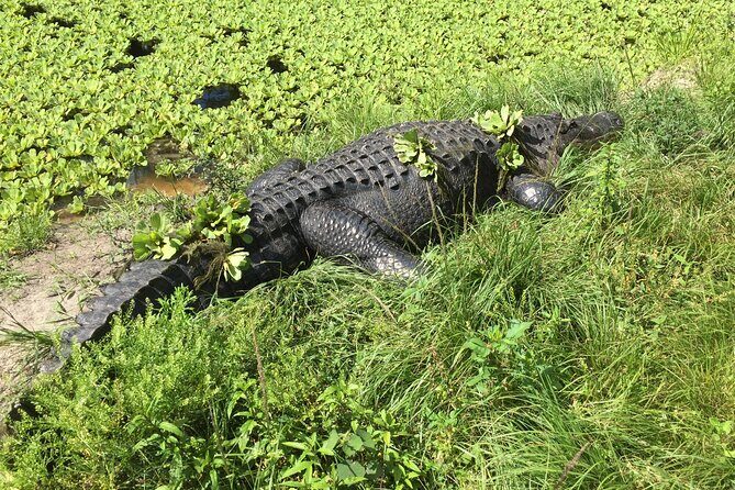 E-Bike Adventure - Fakahatchee Strand - Final Thoughts