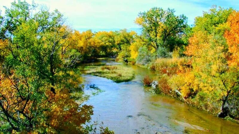 E-Bike & Brews: Denver's Platte River & Brewery E-Bike Tour - Exploring the Details of the E-Bike & Brews Tour