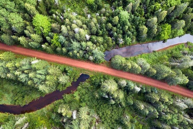 E-Bike Day Tour From Cavendish to Rustico - Potential Downsides