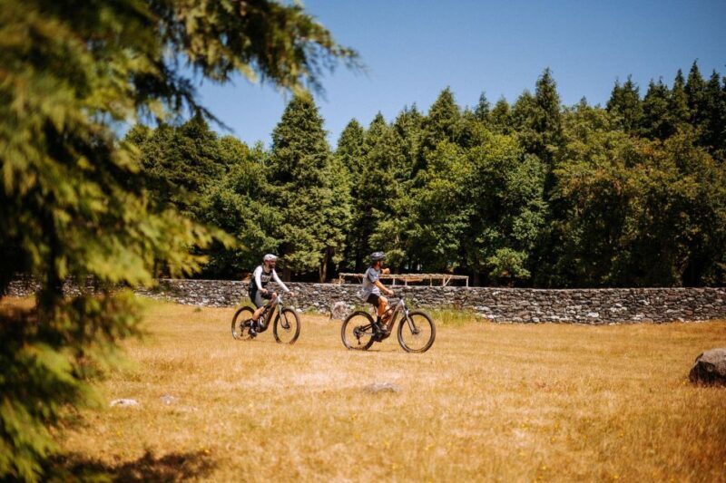 E-Bike Guided Tour - Belle Vue Mountain Biking - Key Points