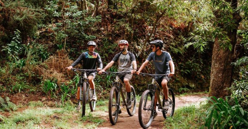 E-Bike Guided Tour - Mountain biking experience - Key Points