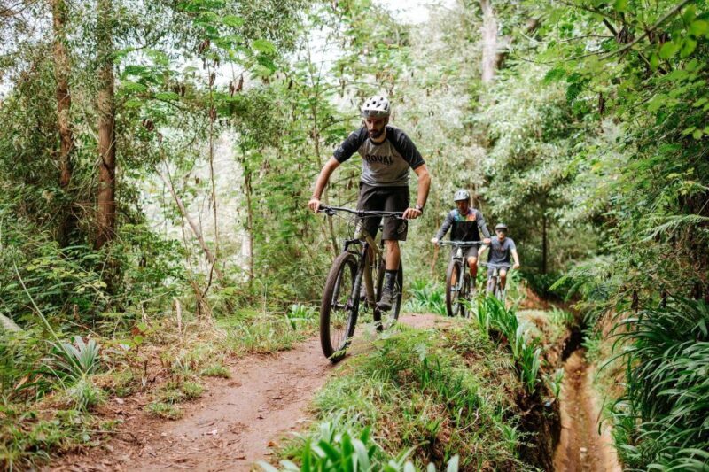 E-Bike Guided Tour - Mountain biking experience - What to Expect from the Tour
