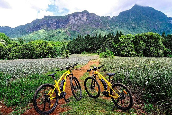 E-Bike Moorea Electric Bike Belvedere Tour (2 people minimum) - The Sum Up