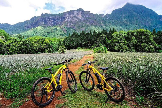 E-Bike Moorea Electric Bike Rental Moorea - Key Points