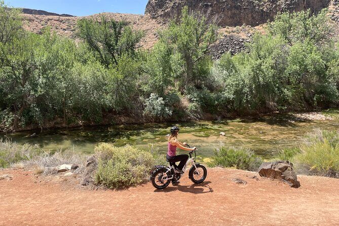 E-Bike Rental - Who Will Get the Most Out of This?