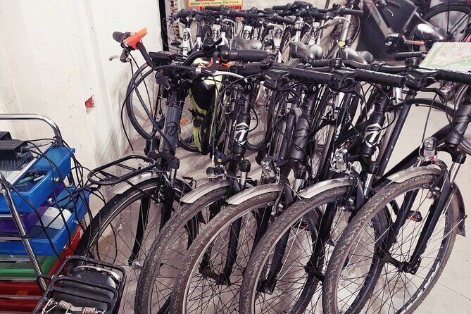 E-Bike Rental in Lucca - A Deep Dive into the E-Bike Experience in Lucca