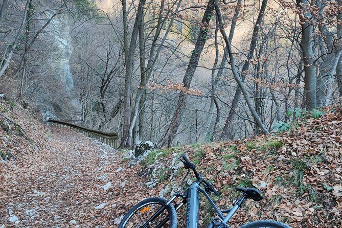 E-bike rental in Riva Del Garda - An Honest Look at E-bike Rental in Riva del Garda