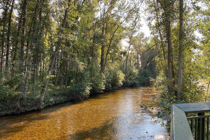 E-Bike Salmon Adventure - An In-Depth Look at the E-Bike Salmon Adventure