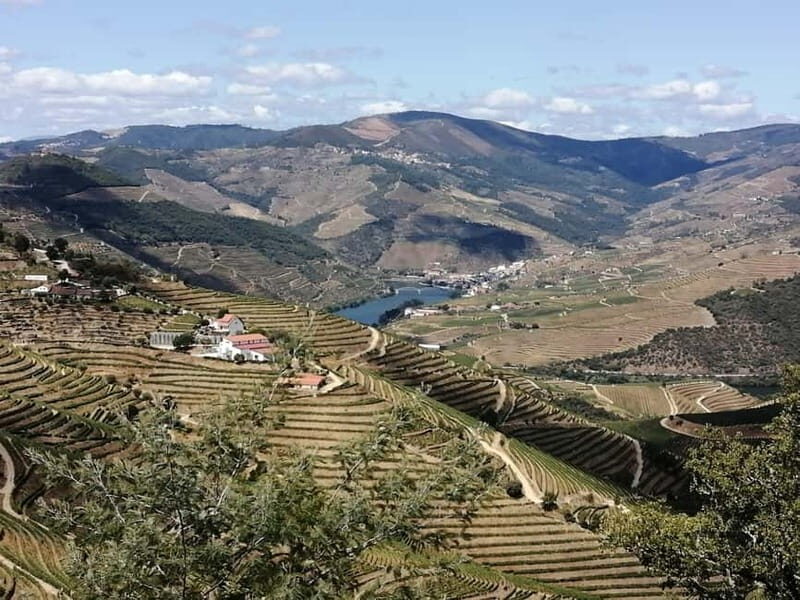 e-Bike Through Douro Valley Wine Region for Half Day Tour - Exploring the Douro Valley by e-Bike: An Honest Review
