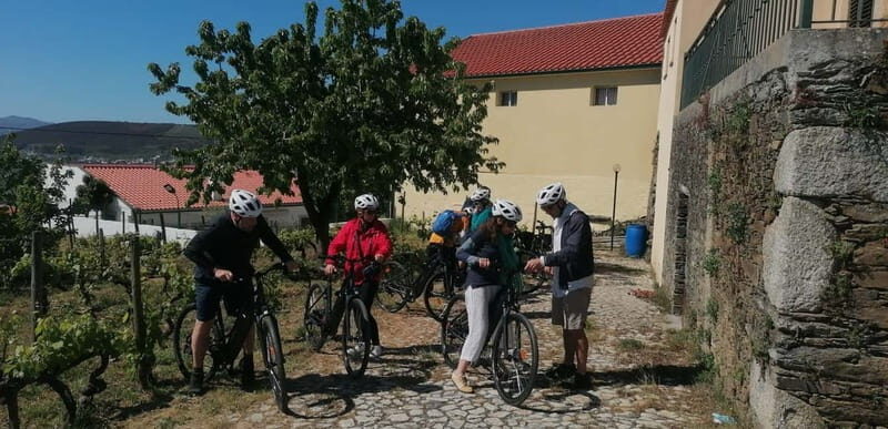 e-Bike Through Douro Valley Wine Region for Half Day Tour - Key Points
