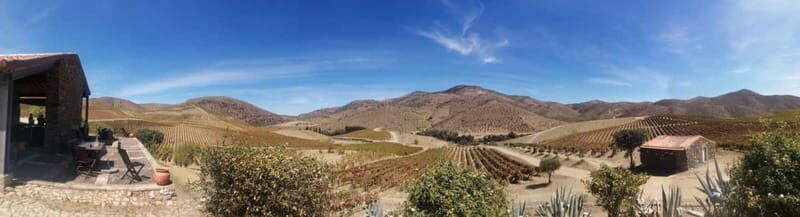 e-Bike Through Douro Valley Wine Region for Half Day Tour - Who Is This Tour Best For?