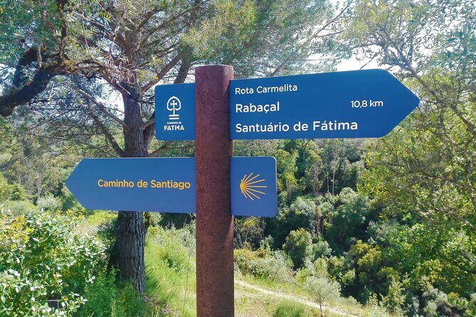 E-bike to Conimbriga Roman Ruins, from Coimbra - FAQ