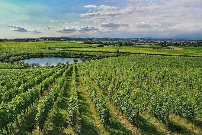 E-Bike tour and Wine tasting from Desenzano Inland - Practical Details and Considerations