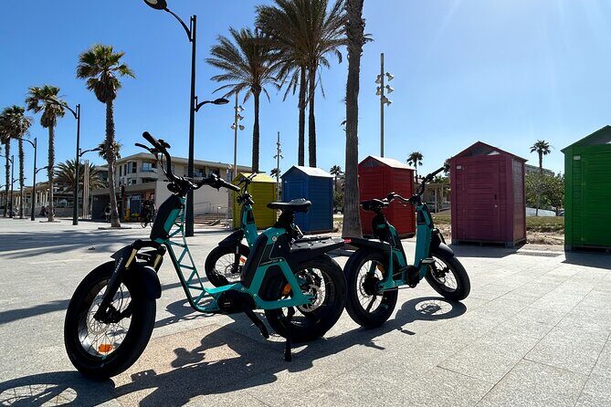 E-bike Tour: Beaches, & City of Arts and Sciences (From 30,00) - Who Will Enjoy This Tour?