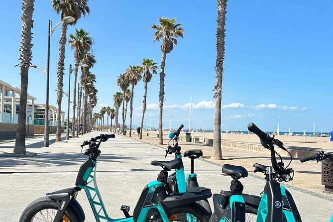 E-bike Tour: Beaches, & City of Arts and Sciences (From 30,00) - FAQ