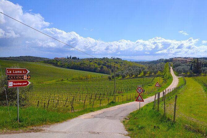 E-Bike Tour: Explore the Chianti, its Enogastronomy and Castles - Final Thoughts